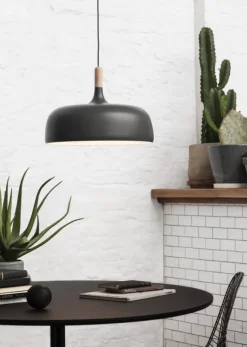Northern Acorn- Taklamper Og Plafond