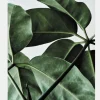 Paper Collective Green Home 01 50 x 70 cm- Bilder / Postere / Veggdecor