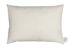 Norsk Dun Innleggspute 40×60 -Dun- Puter