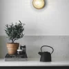 Nuura Liila 1, medium nordic gold/optic- Vegglampe|Taklamper Og Plafond