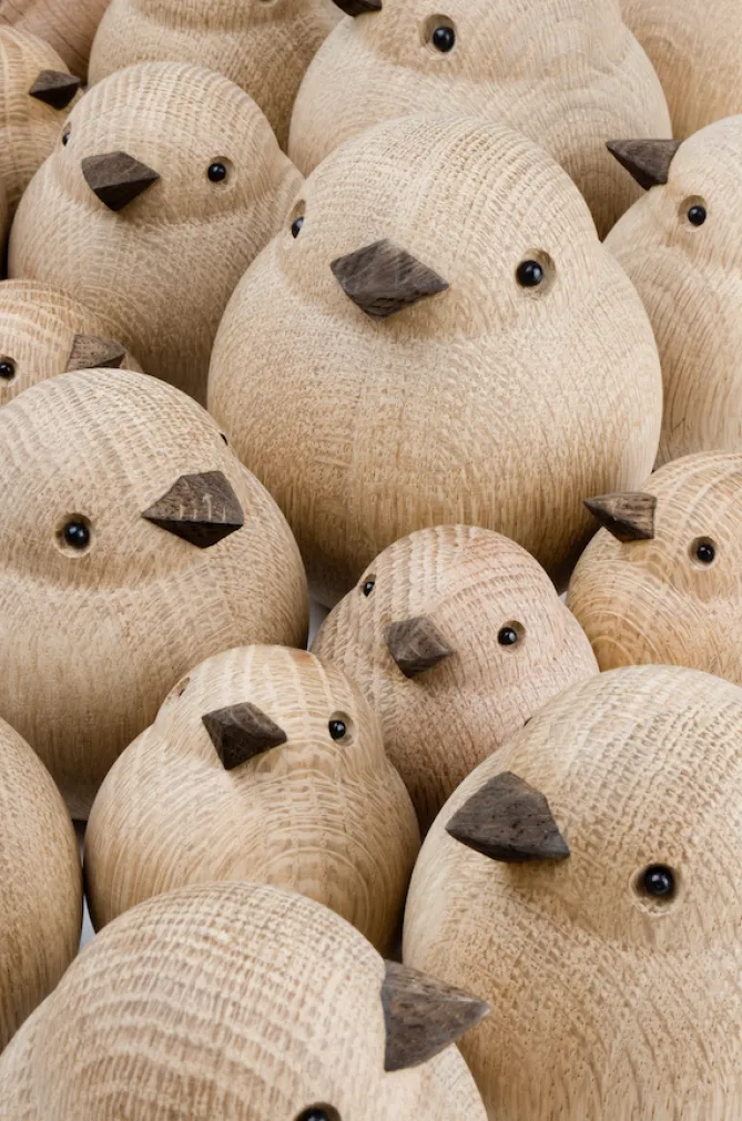 Novoform Papa Sparrow – natural oak- Accessories