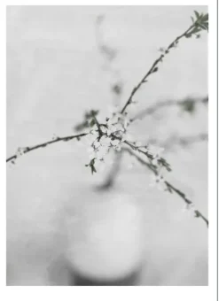 Poster &amp; Frame Poster – Natur -Spring Flower 2- Bilder / Postere / Veggdecor