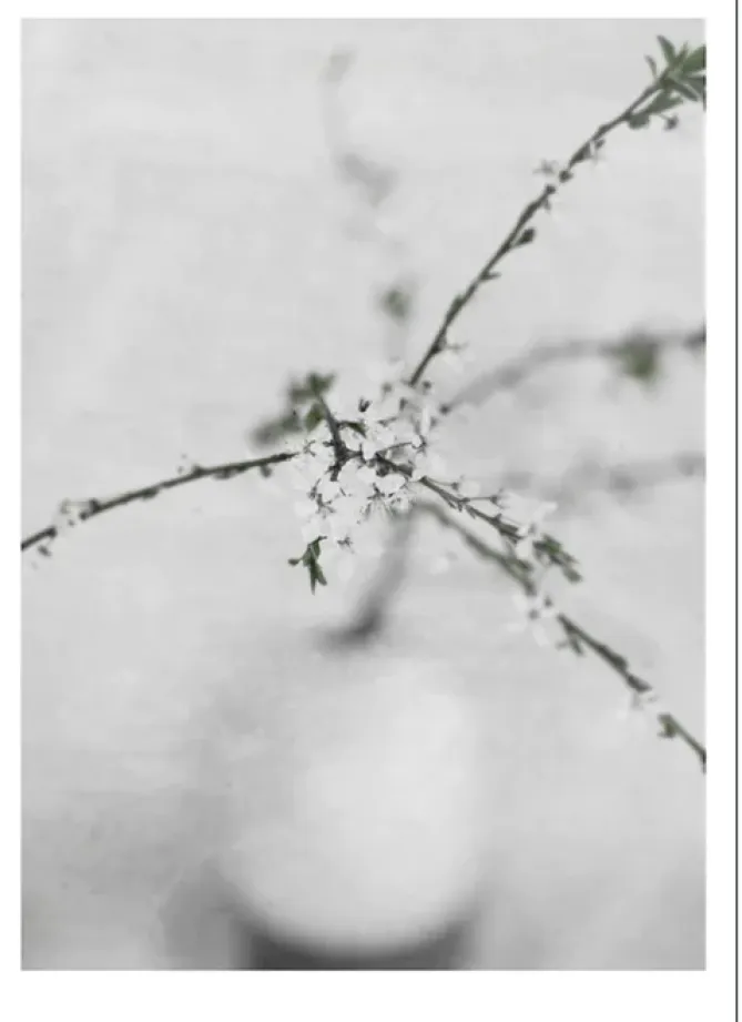 Poster & Frame Poster – Natur -Spring Flower 2- Bilder / Postere / Veggdecor