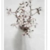 Poster &amp; Frame Poster -Natur -Spring Flower 1- Bilder / Postere / Veggdecor