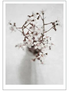 Poster &amp; Frame Poster -Natur -Spring Flower 1- Bilder / Postere / Veggdecor