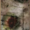 Poster &amp; Frame Poster -Slow Dance- Bilder / Postere / Veggdecor