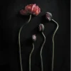 Paper Collective Still Life 02 50 x 70 cm- Bilder / Postere / Veggdecor