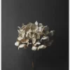 Paper Collective Still Life 04 50 x 70 cm- Bilder / Postere / Veggdecor
