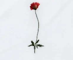 Langkilde &amp; Su00f8n Tøyserviett Flora – Valmue- Til Det Dekkede Bordet