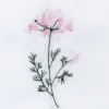 Langkilde &amp; Su00f8n Tøyserviett Flora – Villgulrot- Til Det Dekkede Bordet
