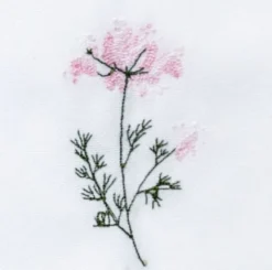Langkilde & Su00f8n Tøyserviett Flora – Villgulrot- Til Det Dekkede Bordet
