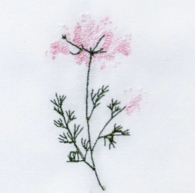 Langkilde & Su00f8n Tøyserviett Flora – Villgulrot- Til Det Dekkede Bordet